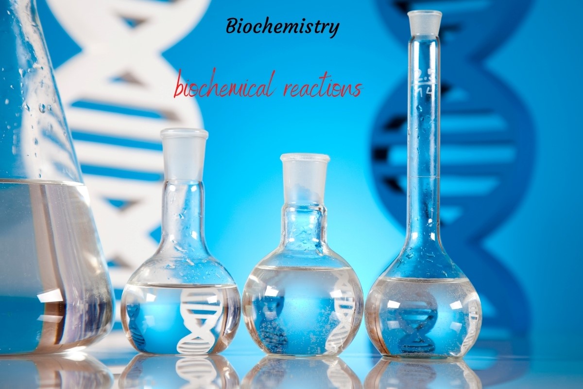 Biochemical reactions