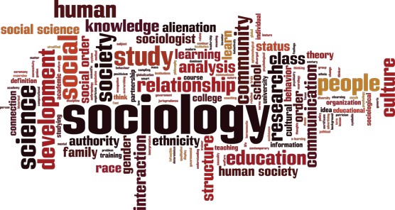 Different aspects of sociology