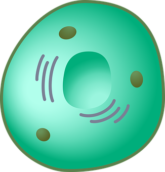 eukaryotic-cell-1