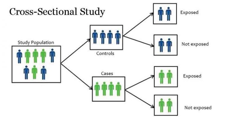 Cross-sectional Study- Definition and Examples