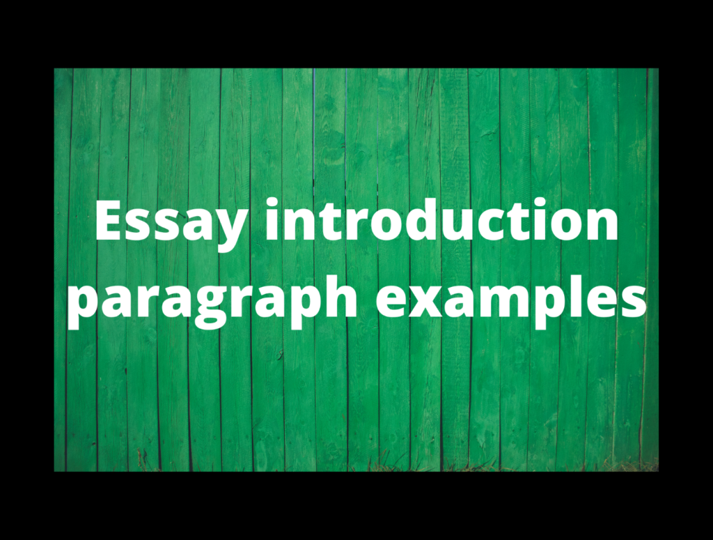 summary essay introduction example