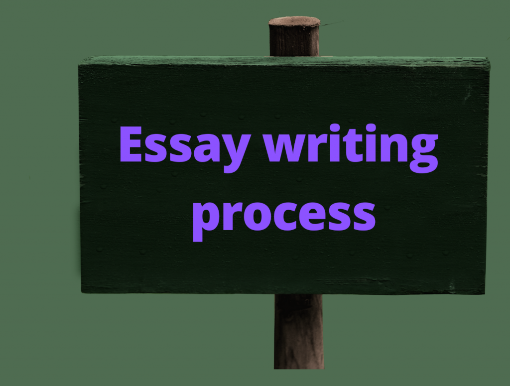 Essay writing process