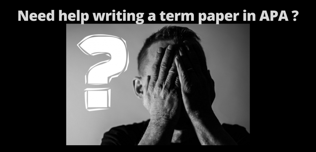 professional term paper format